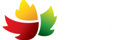 P-Logo-FCBB-GRADIENT-WHITE